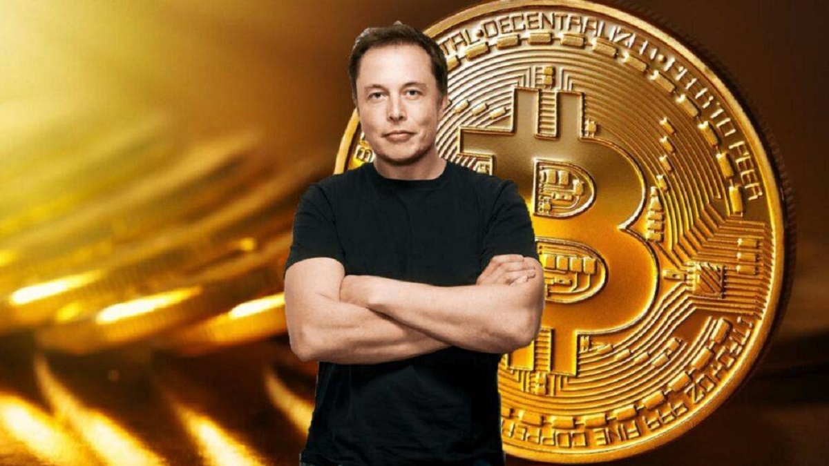 StopElon, La Criptovaluta Per Contrastare Elon Musk | Investimenti Magazine